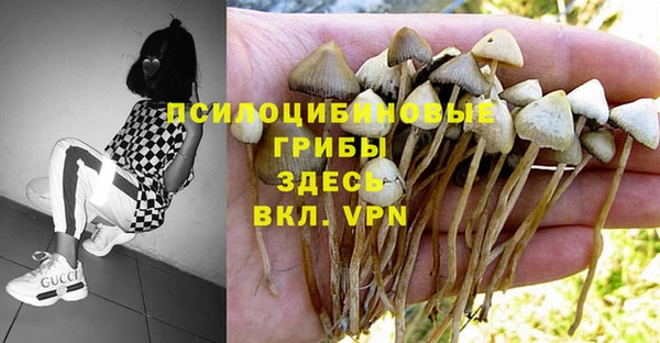 MDMA Premium VHQ Армянск