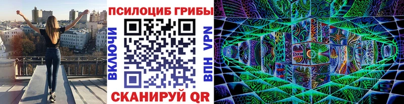 Псилоцибиновые грибы прущие грибы  Шахунья 